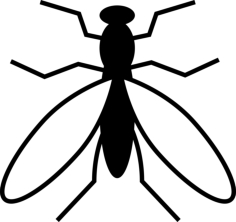 Mosquito From Top View Silhouette Svg Vector, Free Vectors File